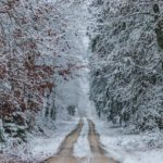 Winterdepression – Ursachen, Symptome und Behandlungsmöglichkeiten