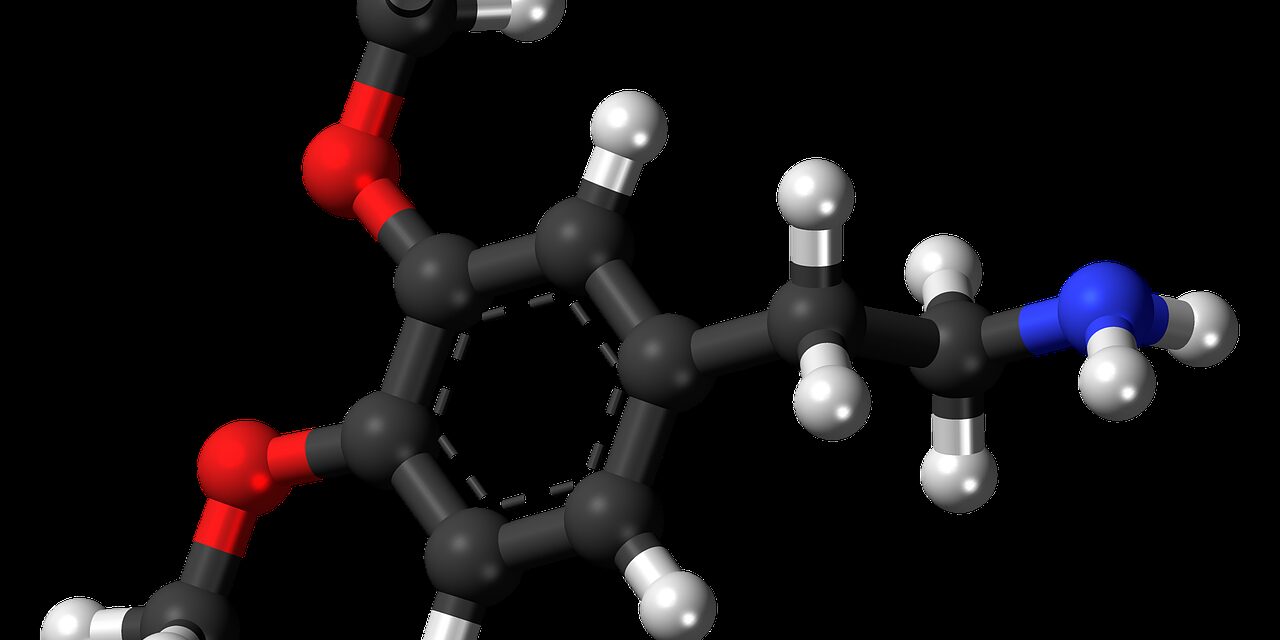 Dopamin: Entstehung, Wirkung und Risiken eines Mangels